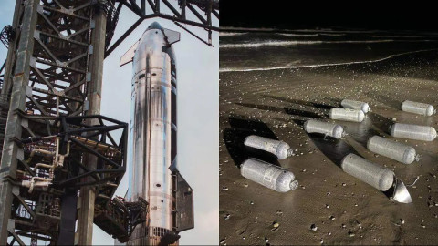Congreso exige a Semarnat informe sobre daños provocados por SpaceX