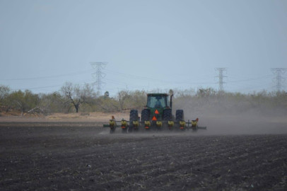 Campo tamaulipeco en riesgo por entrega de agua a Estados Unidos