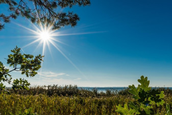 ¡Porfin viernes! Conoce el clima para el día de hoy en Tamaulipas