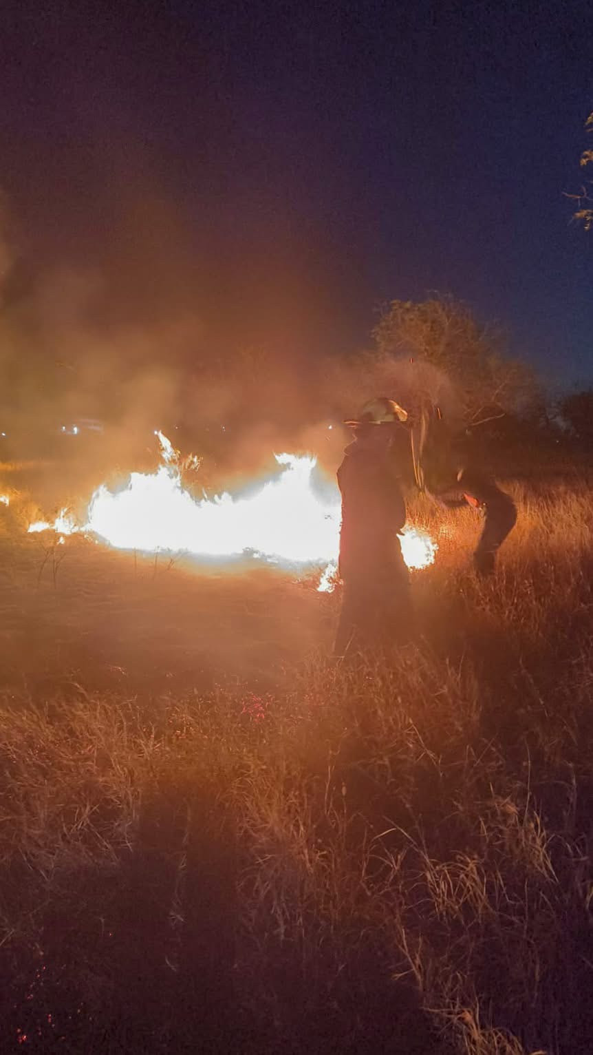 Bomberos controlan incendio en predio baldío del Fraccionamiento Reynosa