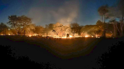 Vientos y sequía elevan riesgo de incendios; suman 400 en el año