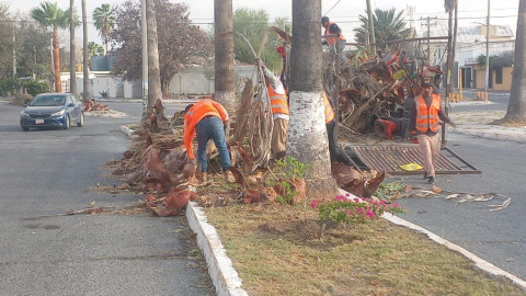 Trabaja Gobierno de Carlos Peña Ortiz por una Reynosa limpia