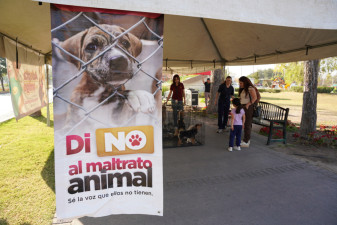Invita Gobierno Municipal a dar un hogar a perros y gatos rescatados en feria de adopciones