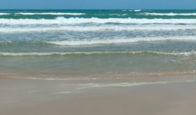 Fortalece Tamaulipas vigilancia ambiental ante presencia de hidrocarburos en costas de la zona sur