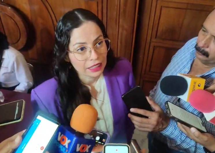 Alertan por violencia familiar en Tamaulipas