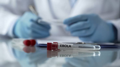 OMS declara emergencia internacional por brote de ébola Bundibugyo