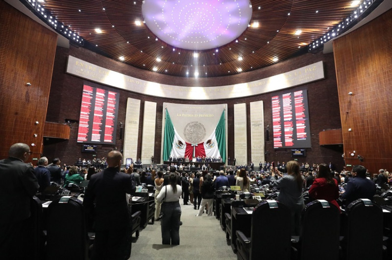 Cámara de Diputados avalan nulidad de elección por intervención extranjera