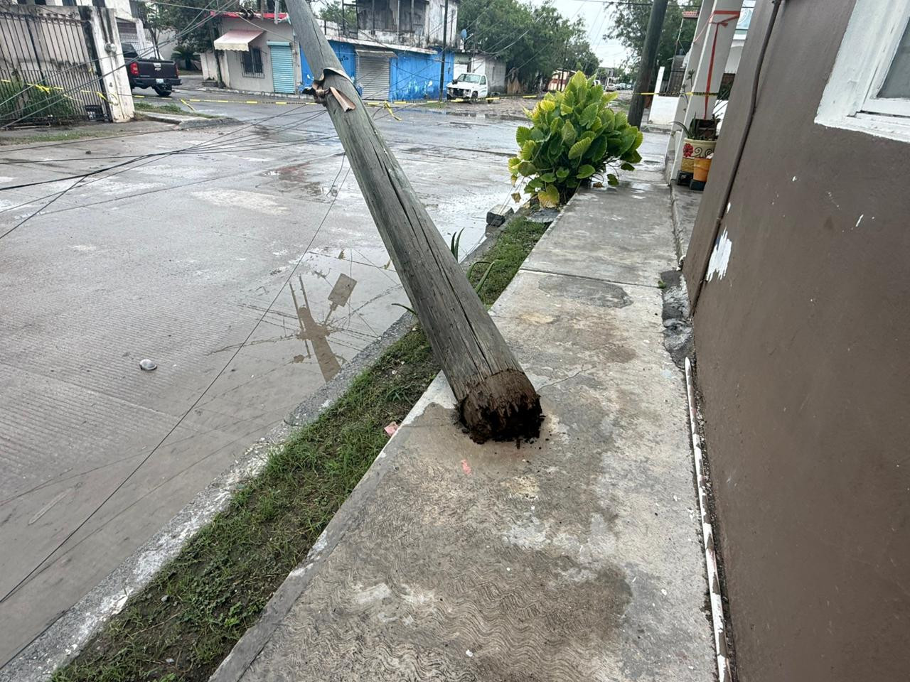 Caída de tres postes daña vehículos y genera preocupación en la colonia Revolución Verde