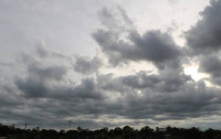 Clima en Tamaulipas: ¿Cuál es el pronóstico para este viernes?