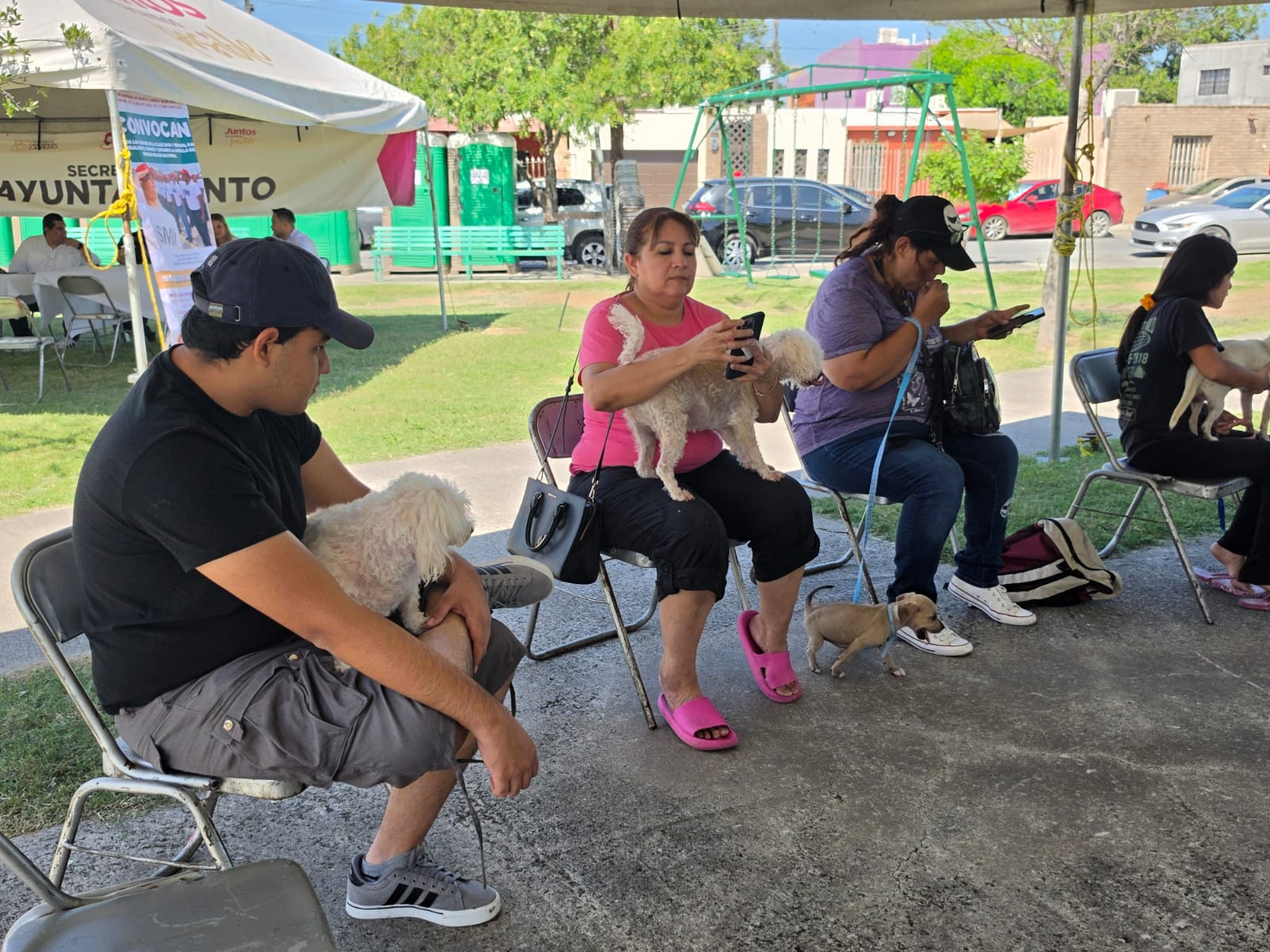 Avanza programa permanente de esterilización para mascotas