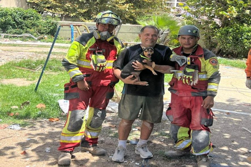 Ejército mexicano rescata con vida a "Sarita", perrita atrapada tras sismo en Venezuela