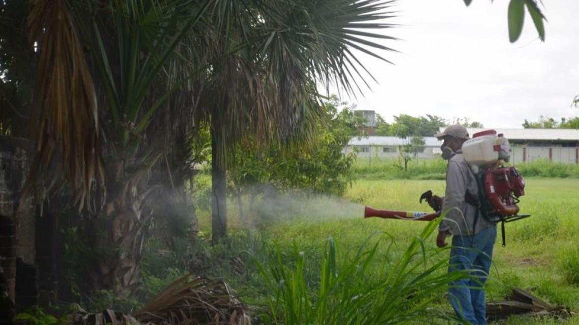 Reforzarán programa patio limpio ante sospecha de casos de dengue en Tampico 