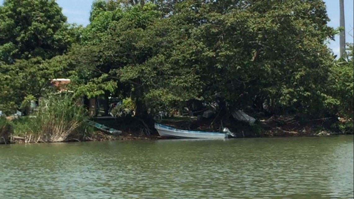 Llevarán electrificación a márgenes del río Tamesí
