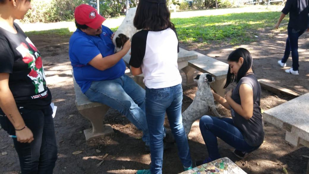 Realizan feria de adopción canina en Tampico