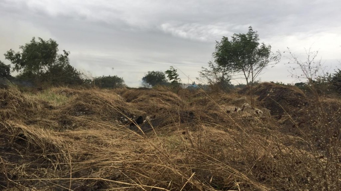 Fuertes vientos propagan incendio de pastizales en Altamira