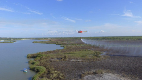 Evitan que Avance Incendio en Zona de Tulares del Chairel