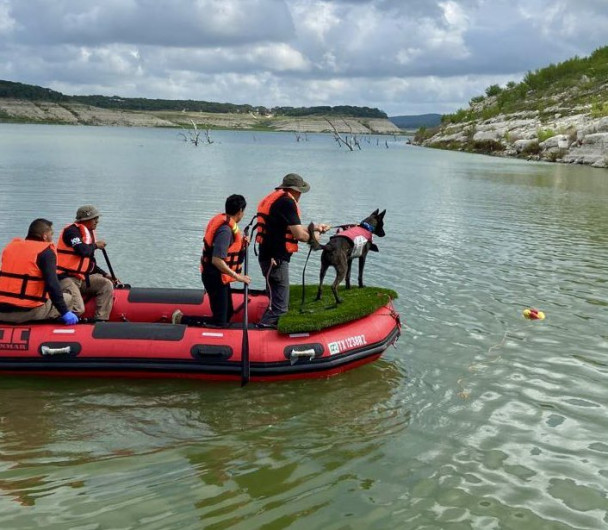 ¡Héroes de cuatro patas!: Erik y Bata, caninos mexicanos que apoyan en Texas tras inundaciones
