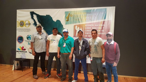 Asisten a reunión sobre tortuga marina