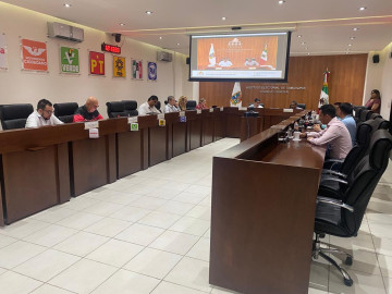 Aprueban regidurías pluris para 29 municipios