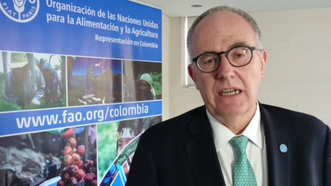 Latinoamérica con las mayores tasas de desnutrición