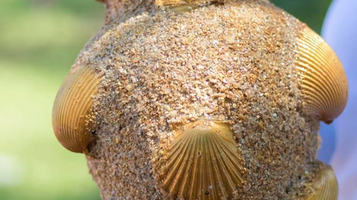 CEDIF reconoce a artistas altamirenses