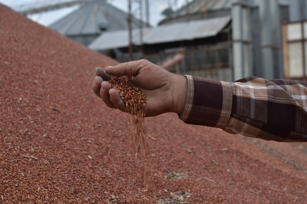 Inicia gobierno de Tamaulipas dispersión de recursos de apoyo del “Programa de Fomento a la Producción Rural 2023”