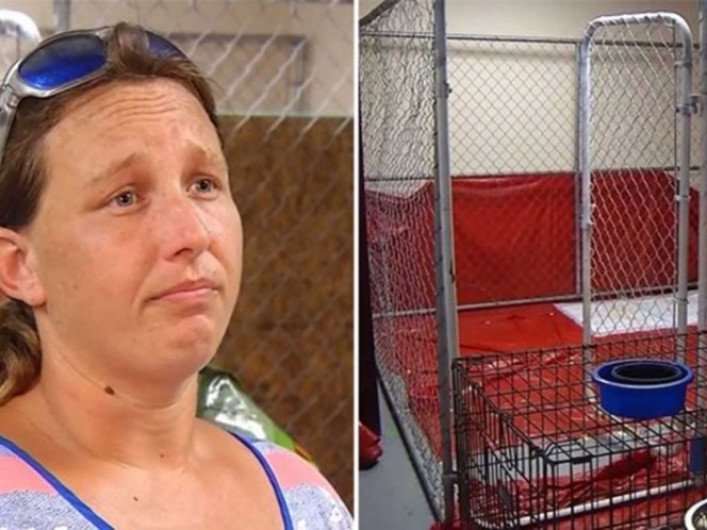 Arrestada por salvar animales tras huracán “Florence”