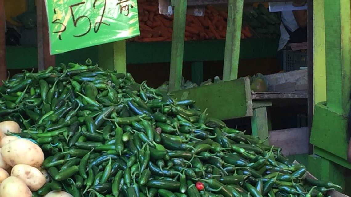 Alto precio del chile nacional genera buenas utilidades para productores de hortalizas