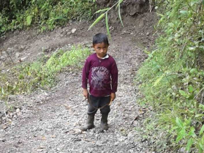 Influenza virus B, posible causa de muerte del niño migrante