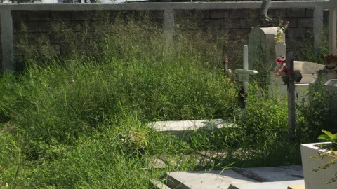 Autoridades coordinan esfuerzos para combatir enfermedades