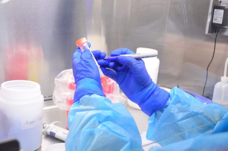 Tamaulipas registra 80 nuevos casos de COVID-19, pide no bajar la guardia 