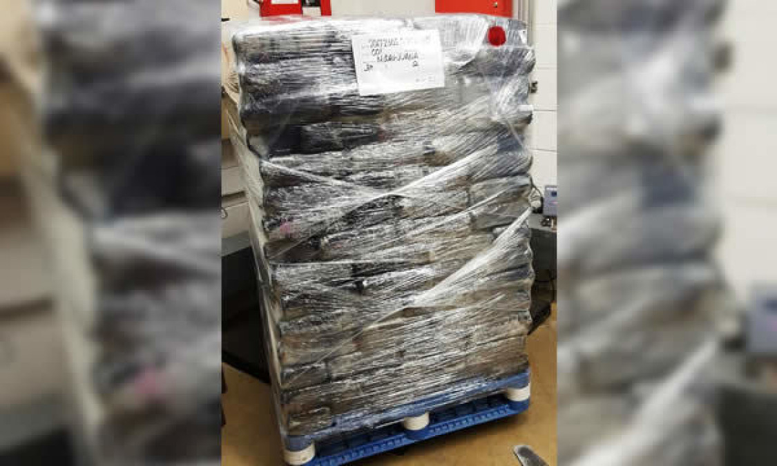 Aseguran 1,134 libras de marihuana en puente Phar 