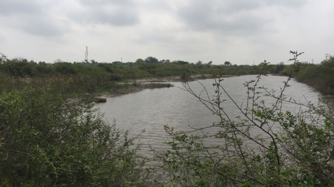 Sector agrícola y ganadero preocupados por falta de lluvias