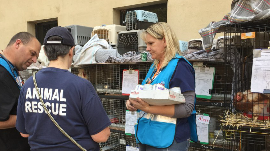 Las otras víctimas de los incendios en California