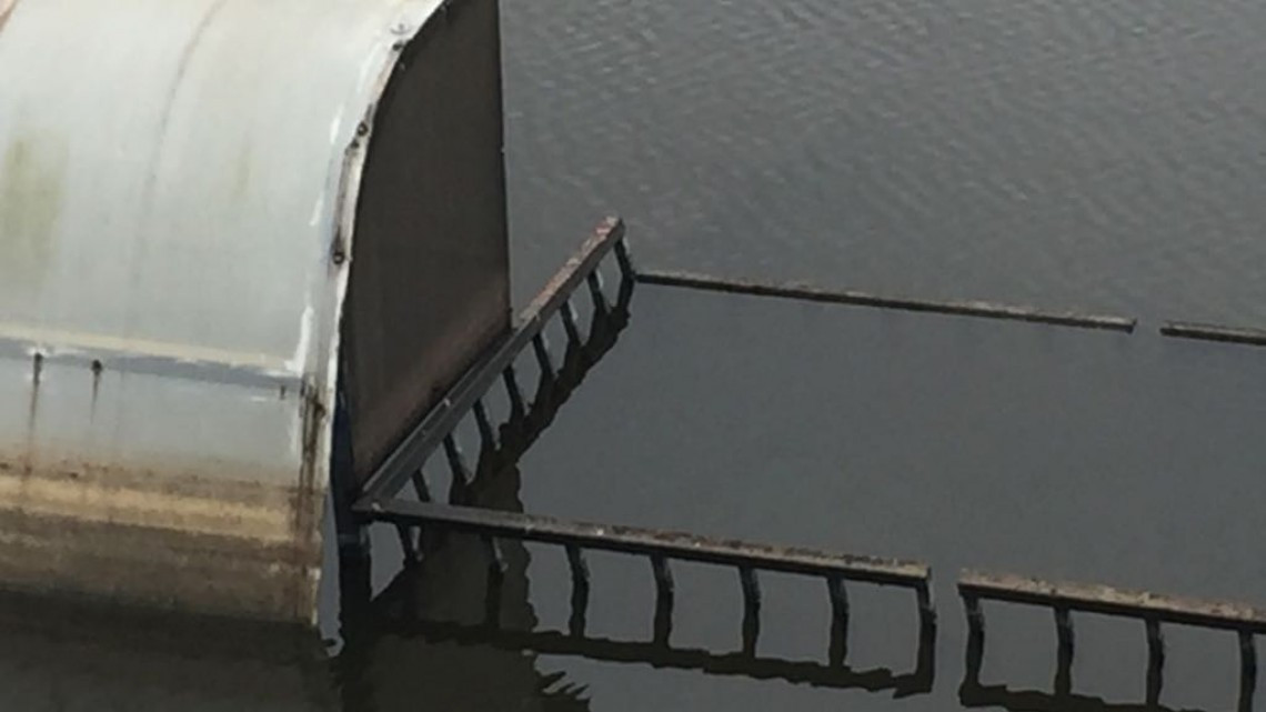 Se deteriora el estadio Altamira, urgen trabajos de mantenimiento