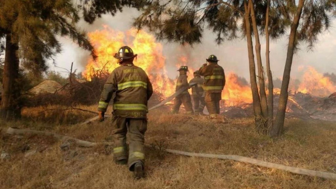 Hoy celebramos a los bomberos en su día