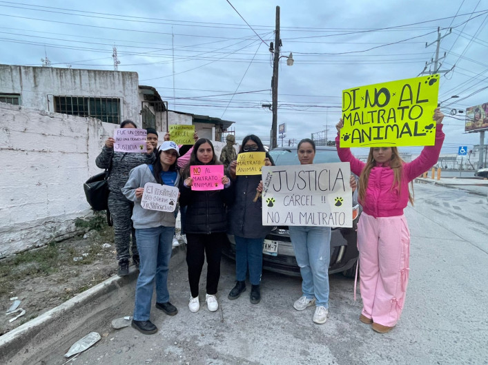 Exigen cárcel para menores que arrastraron y mataron a perrito