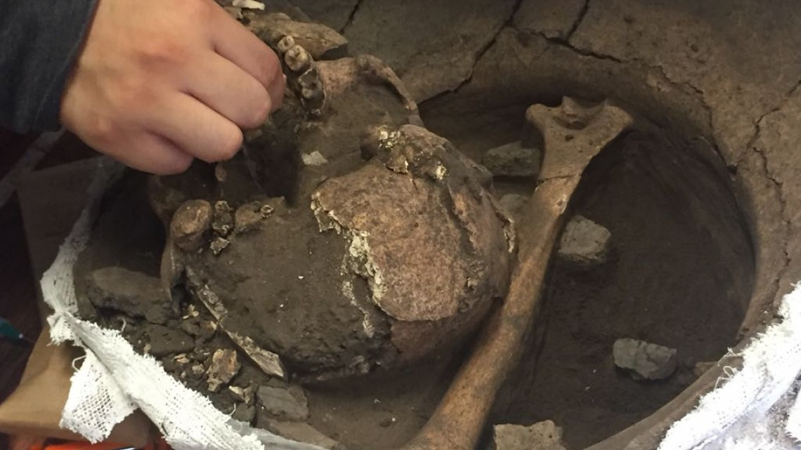 La historia del México antiguo sigue aflorando de la aldea Chak Pet en Altamira