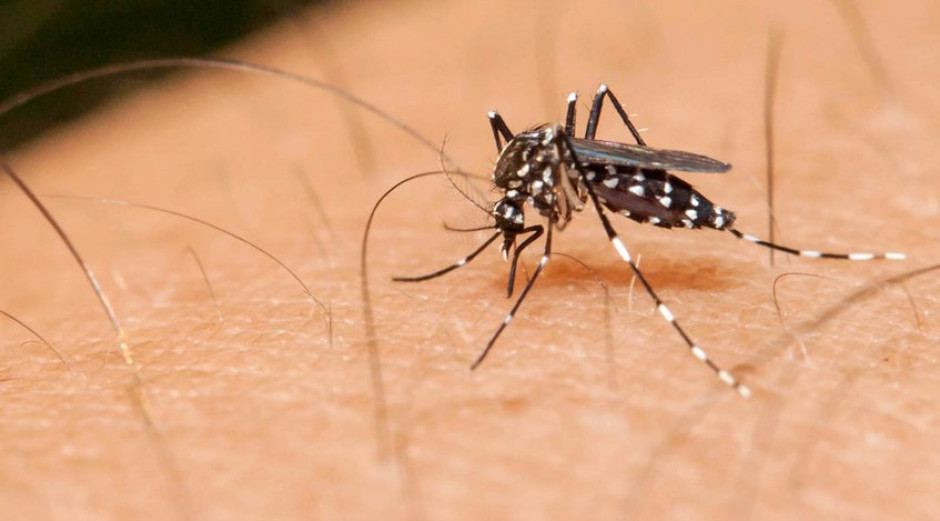 Detectan en el condado Cameron primer caso de zika