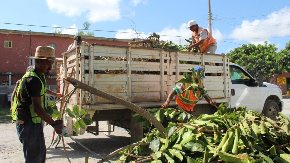 El Gobierno municipal avanza en recolección de basura.