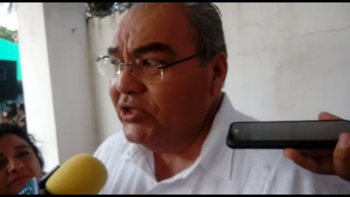 Pide Ecología no dañar mariposa monarca qué pasa por Tampico