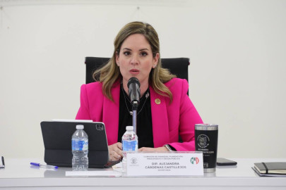 Piden no dejar ser jueces o magistrados a morosos alimentarios