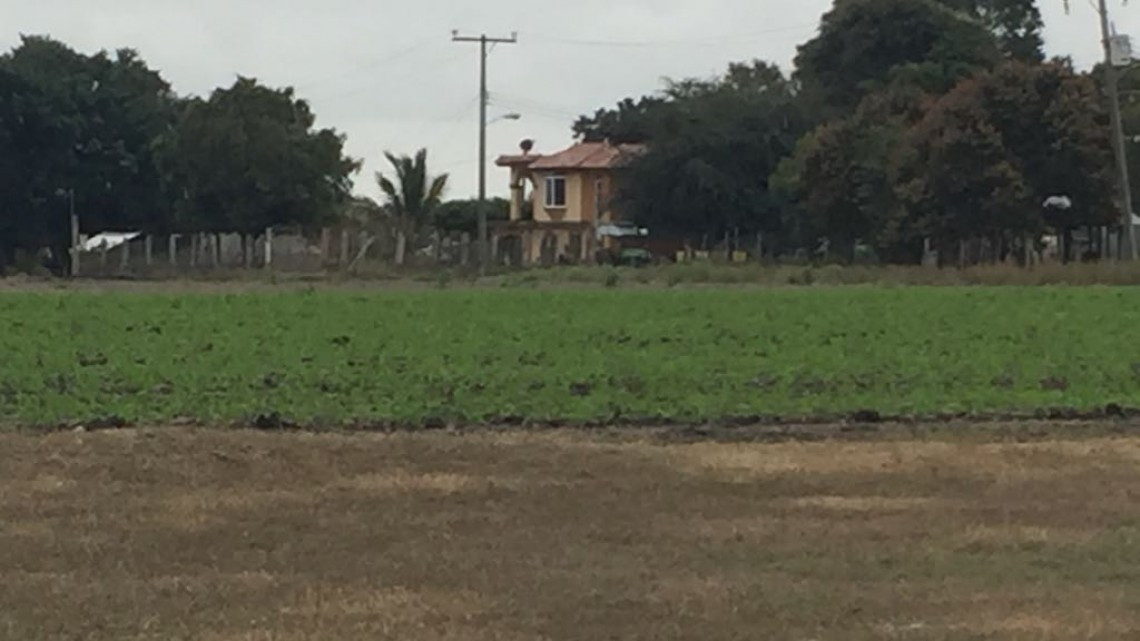 Buscan promover recursos para productores del campo