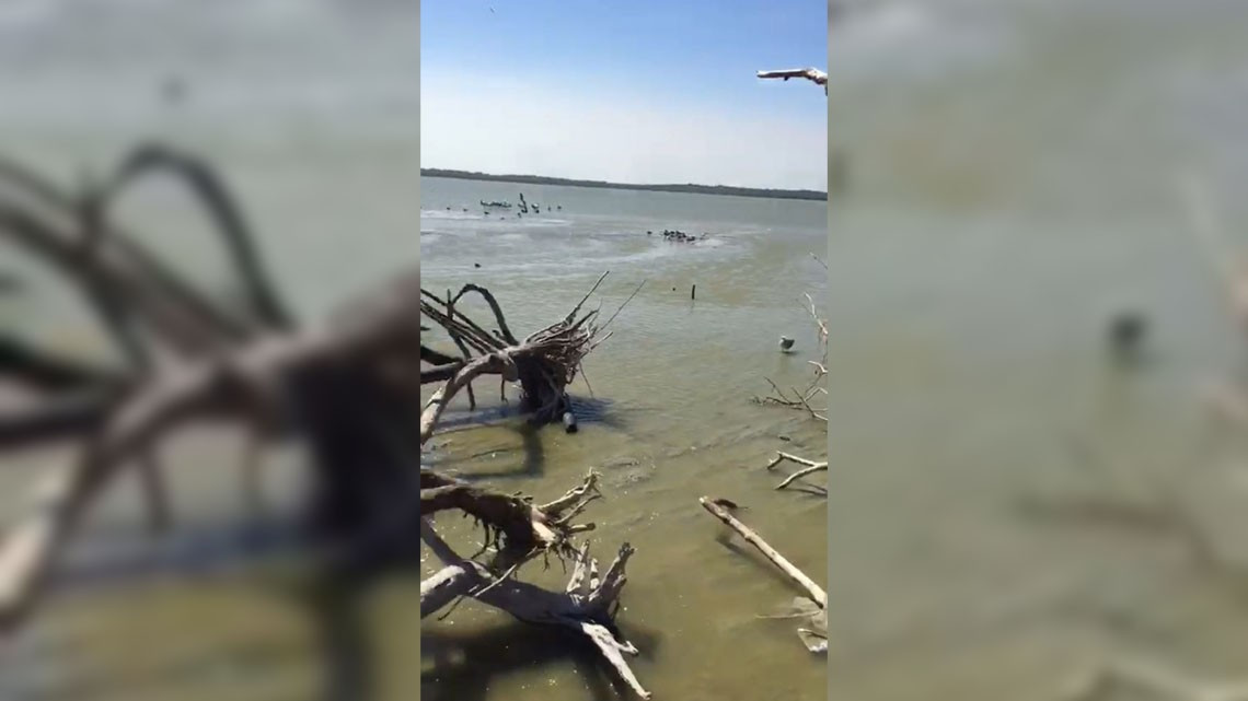 Realizan trabajos de remediación para evitar que el litoral de las marismas se sigan desgastando