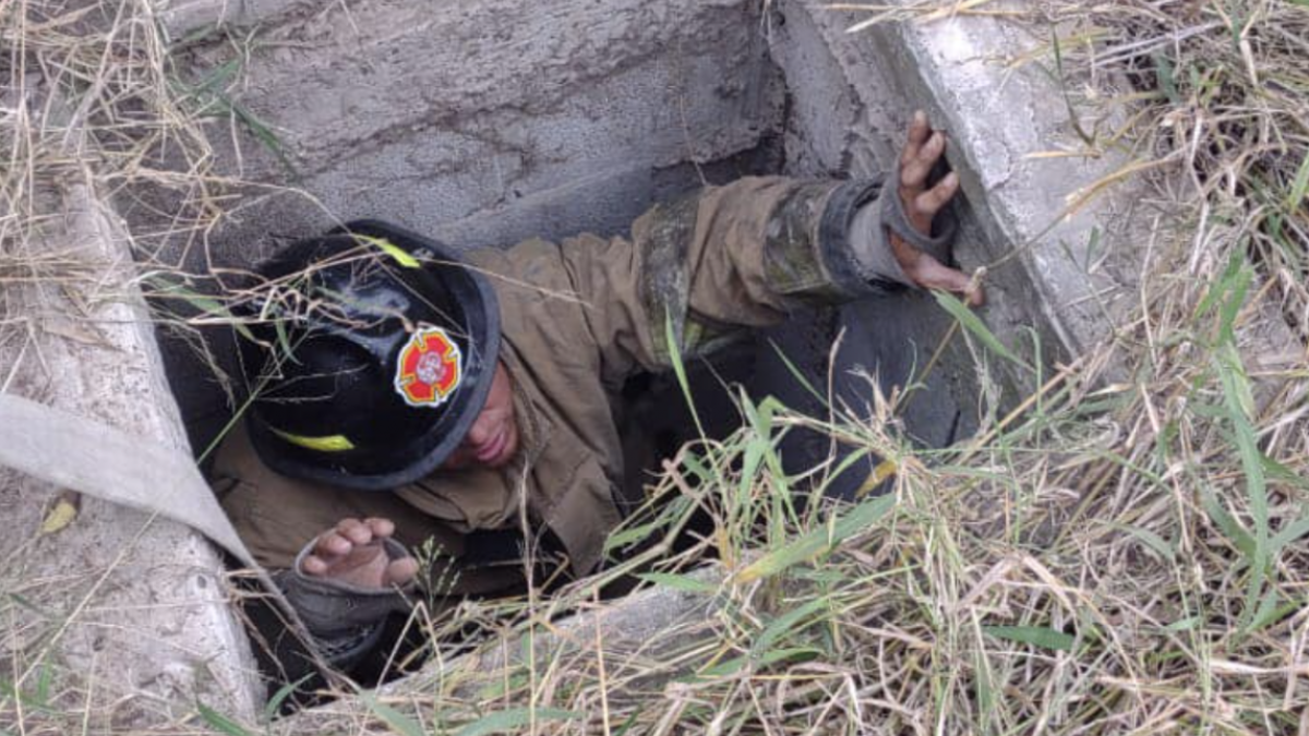 Rescatan a perritos atrapados en una fosa