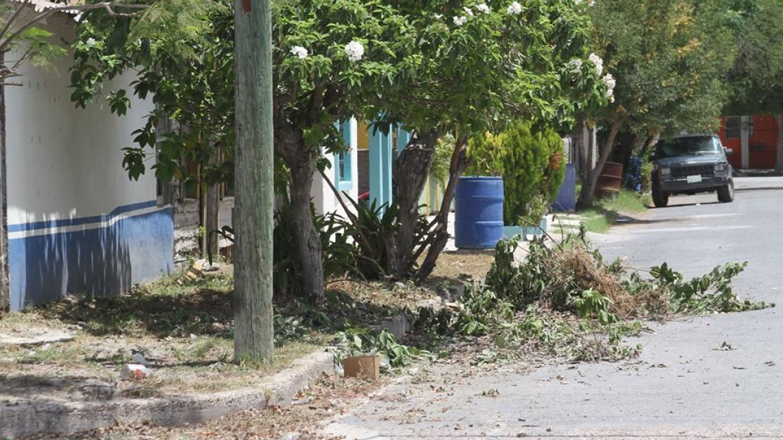 SPP realiza labores de limpieza