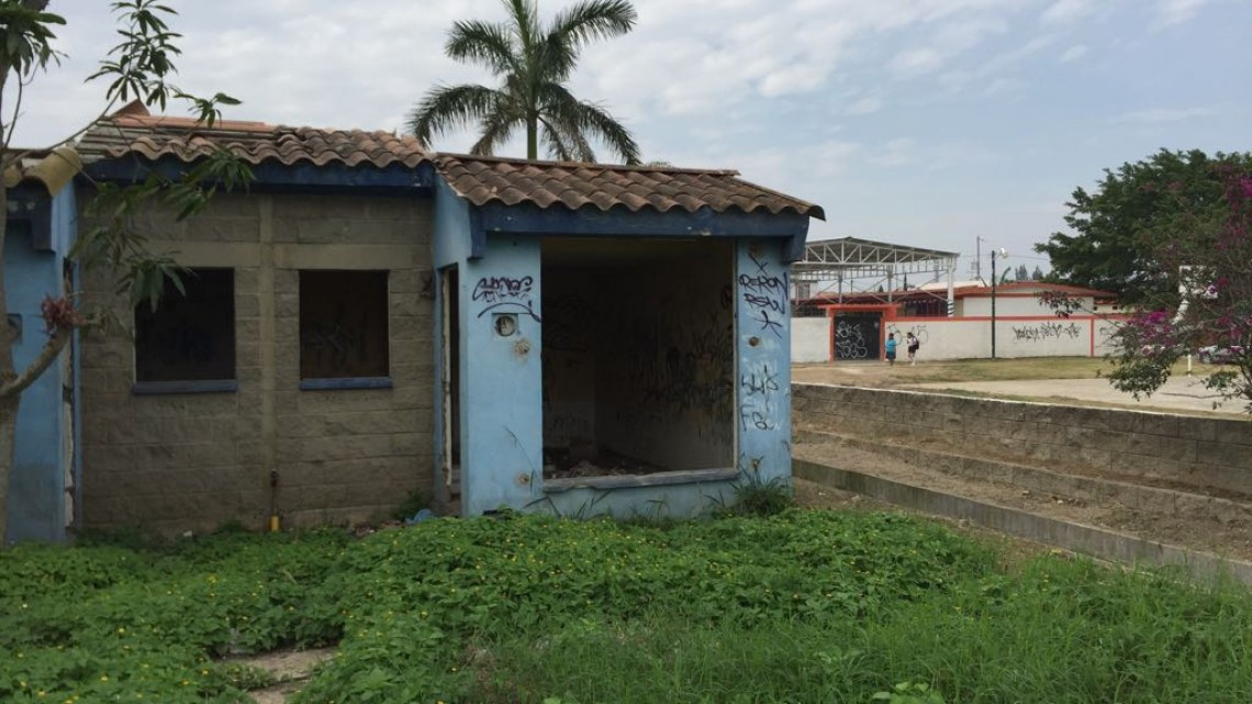 Casas abandonadas, problemas de salud por ser criaderos de moscos