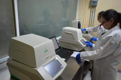 Tamaulipas registra 113 nuevos casos de COVID-19 