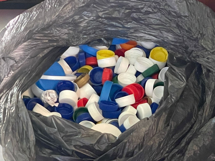 Invitan a donar tapas para apoyar a gatos y perros rescatados