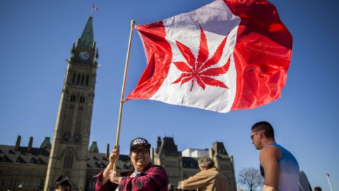 Canadá listo para legalización de marihuana